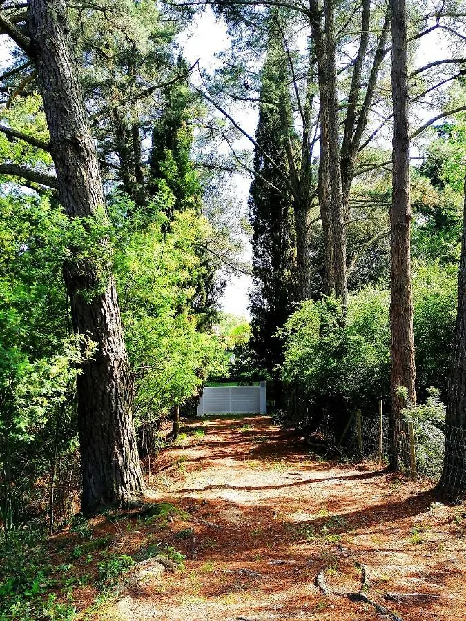 اتصالات Costa Brava Home & Garden 